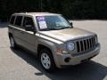 Light Khaki Metallic - Patriot Sport Photo No. 5