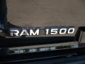 2003 Black Dodge Ram Van 1500 Passenger Conversion  photo #12