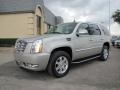 Quicksilver - Escalade AWD Photo No. 3