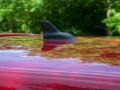 Tornado Red - R32  Photo No. 13