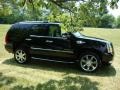 Black Raven - Escalade AWD Photo No. 6