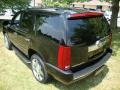 Black Raven - Escalade AWD Photo No. 9