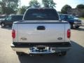 2003 Silver Metallic Ford F150 XLT SuperCrew 4x4  photo #8