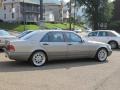 1996 Smoke Silver Metallic Mercedes-Benz S 500 Sedan  photo #6