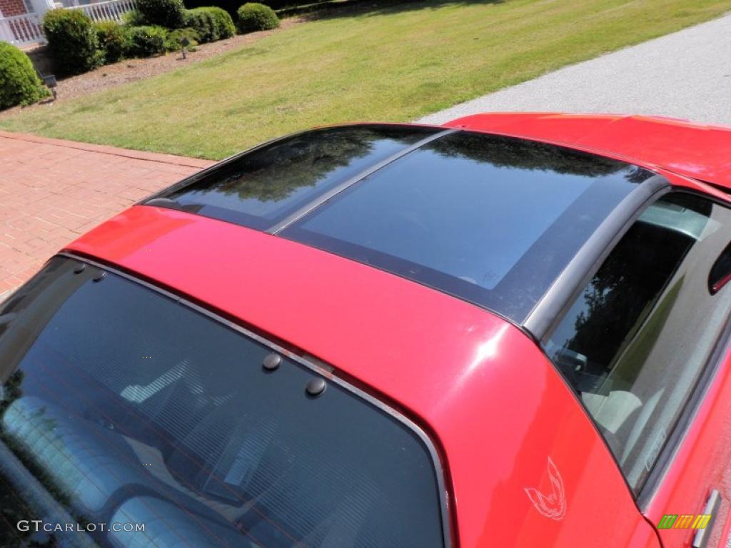 1989 Firebird Trans Am Coupe - Brilliant Red / Gray photo #20