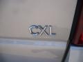 2005 Platinum Metallic Buick Terraza CXL  photo #14