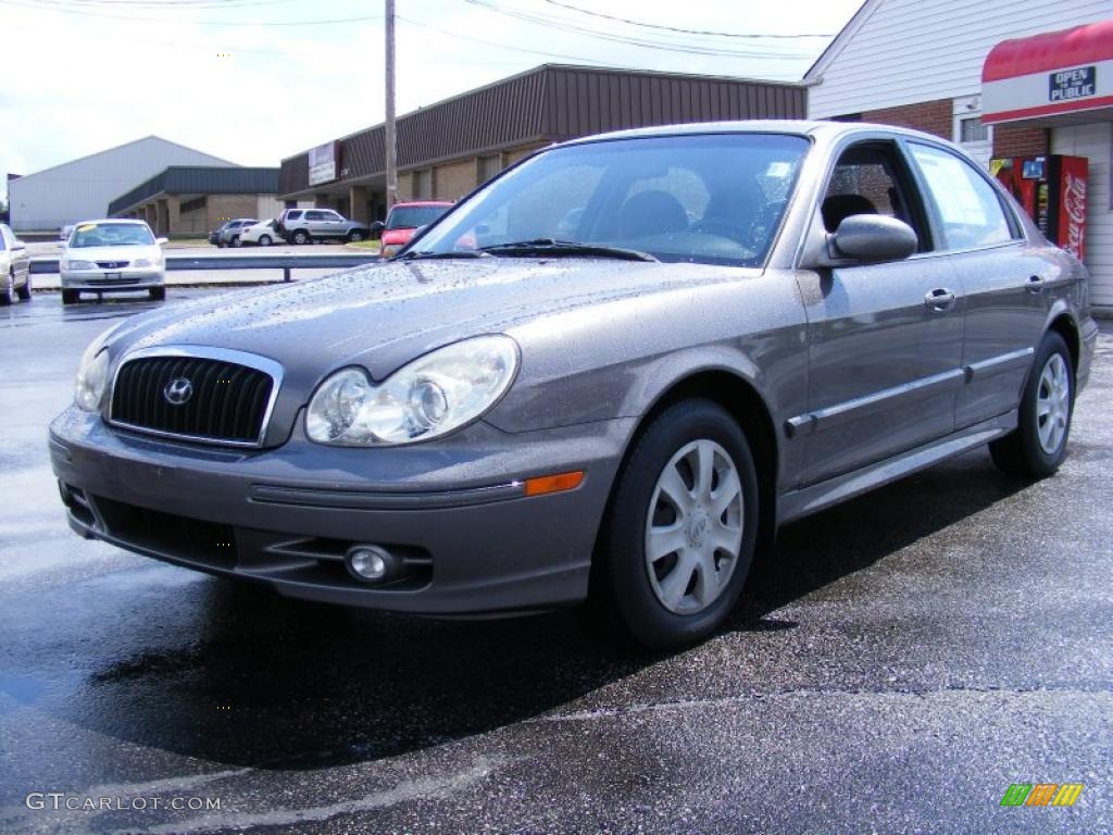 2002 Slate Gray Hyundai Sonata GLS V6 32053968 Photo 10 GTCarLot