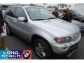Titanium Silver Metallic - X5 4.4i Photo No. 1