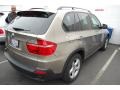 Platinum Bronze Metallic - X5 3.0si Photo No. 3