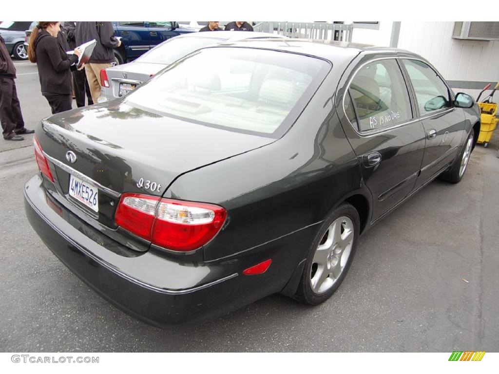 2000 I 30 - Autumn Bronze Pearl / Beige photo #3