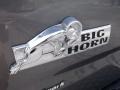 2010 Mineral Gray Metallic Dodge Ram 1500 Big Horn Quad Cab 4x4  photo #9