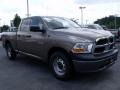 2010 Austin Tan Pearl Dodge Ram 1500 ST Quad Cab  photo #4