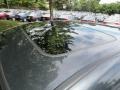 Carbon Gray Pearl - TL 3.2 Photo No. 12