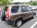 2003 Mojave Mist Metallic Honda CR-V EX 4WD  photo #3