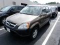 2003 Mojave Mist Metallic Honda CR-V EX 4WD  photo #6