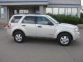 2008 Light Sage Metallic Ford Escape XLT  photo #1