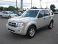 2008 Light Sage Metallic Ford Escape XLT  photo #8