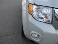 2008 Light Sage Metallic Ford Escape XLT  photo #12