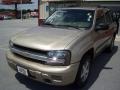 Sandstone Metallic - TrailBlazer LS 4x4 Photo No. 2