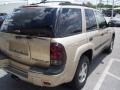 Sandstone Metallic - TrailBlazer LS 4x4 Photo No. 6