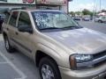 Sandstone Metallic - TrailBlazer LS 4x4 Photo No. 8
