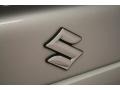 Titanium Silver Metallic - Forenza Sedan Photo No. 32