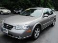 2000 Sunlit Sand Metallic Nissan Maxima GLE  photo #1