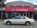 2007 Light Platinum Cadillac DTS Luxury II  photo #1