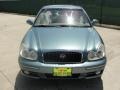 Celadon Green - Sonata GLS V6 Photo No. 8