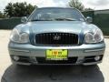 Celadon Green - Sonata GLS V6 Photo No. 9