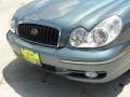 Celadon Green - Sonata GLS V6 Photo No. 12