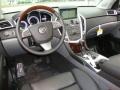 Platinum Ice Tricoat - SRX V6 Photo No. 11