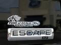 2010 Black Ford Escape XLT V6  photo #4