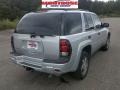 Moondust Metallic - TrailBlazer LS Photo No. 3