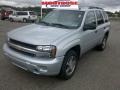 Moondust Metallic - TrailBlazer LS Photo No. 22