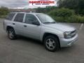 Moondust Metallic - TrailBlazer LS Photo No. 25