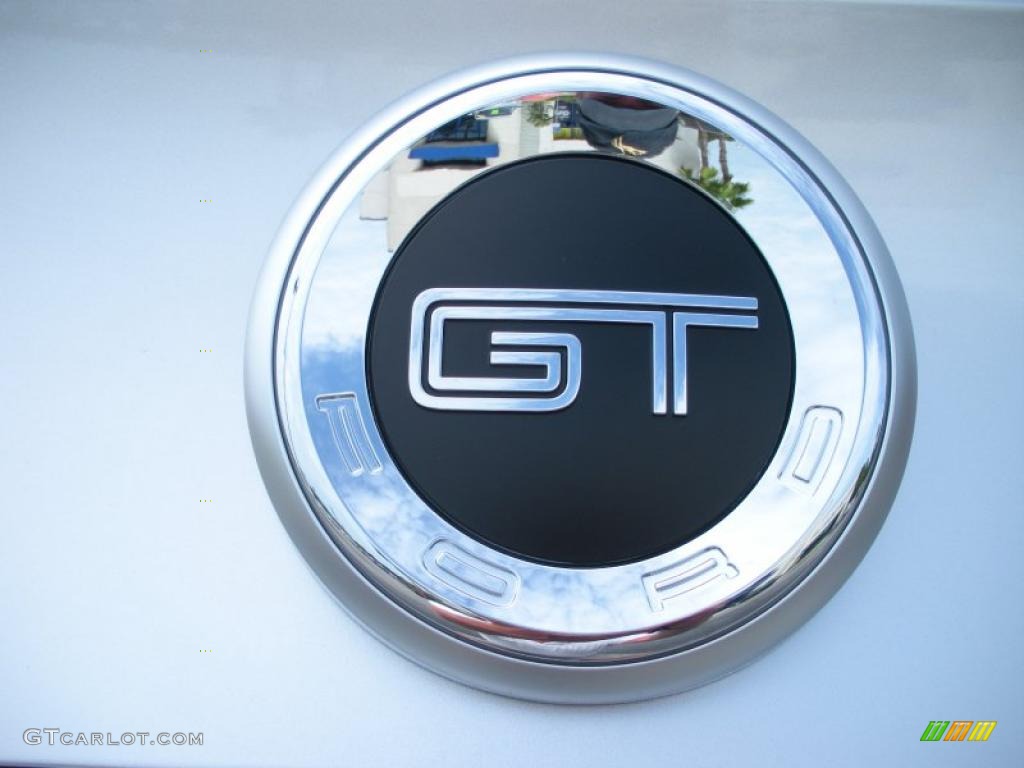 2011 Mustang GT Premium Convertible - Ingot Silver Metallic / Saddle photo #5