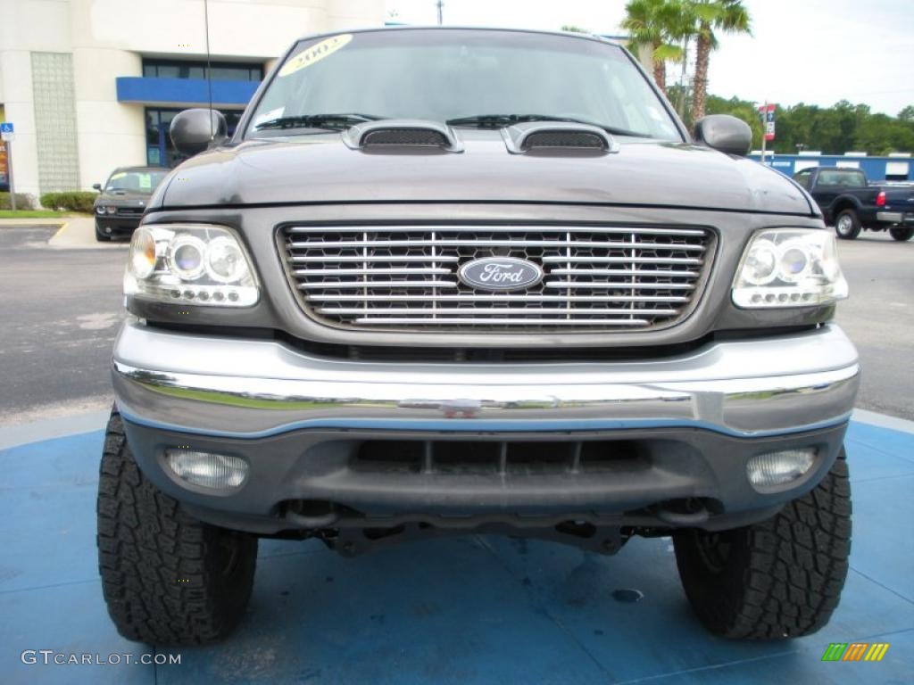 2002 F150 Lariat SuperCrew 4x4 - Dark Shadow Grey Metallic / Medium Graphite photo #8