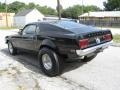 Black - Mustang Mach 1 Photo No. 11