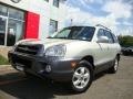 Pewter - Santa Fe GLS 4WD Photo No. 1