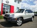 Pewter - Santa Fe GLS 4WD Photo No. 4