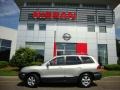 Pewter - Santa Fe GLS 4WD Photo No. 5