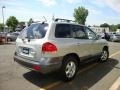 Pewter - Santa Fe GLS 4WD Photo No. 10