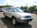 Pewter - Santa Fe GLS 4WD Photo No. 12