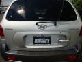 Pewter - Santa Fe GLS 4WD Photo No. 17