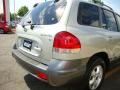 Pewter - Santa Fe GLS 4WD Photo No. 18