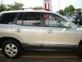 Pewter - Santa Fe GLS 4WD Photo No. 19