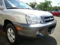 Pewter - Santa Fe GLS 4WD Photo No. 20