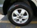 Pewter - Santa Fe GLS 4WD Photo No. 23