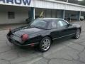 Evening Black - Thunderbird Premium Roadster Photo No. 2